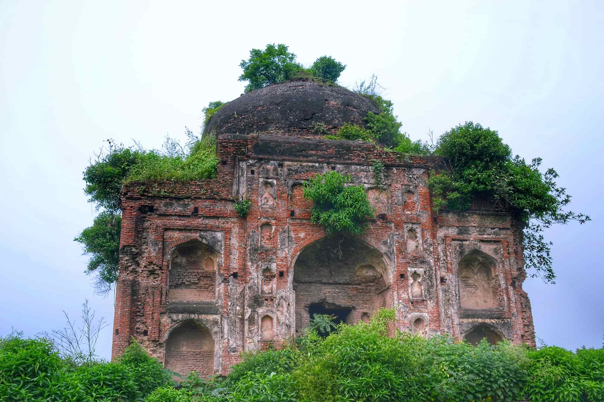 Tomb of Timur Shah Bahadur